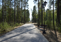 Парк по ул. Менделеева - лидер голосования проектов по благоустройству