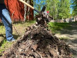 Приглашаем югорчан на субботник в парк на ул.Менделеева