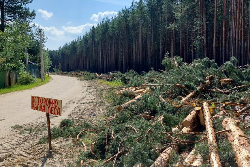 На "Зелёной зоне" формируют минерализованные полосы и противопожарные разрывы