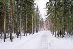 Югорчане выбирают какой будет велодорожка в парке по Менделеева