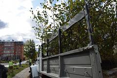 Преображение избирательного участка №5