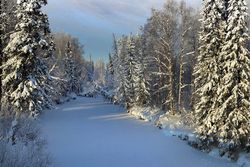 10 декабря – День образования Ханты-Мансийского автономного округа-Югры