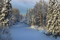 10 декабря – День образования Ханты-Мансийского автономного округа-Югры