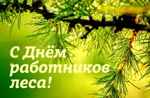 С ДНЁМ РАБОТНИКОВ ЛЕСА И ЛЕСОПЕРЕРАБАТЫВАЮЩЕЙ ПРОМЫШЛЕННОСТИ!