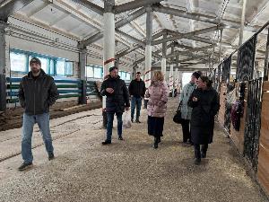 Депутаты Думы побывали в конноспортивном клубе «Аллюр».