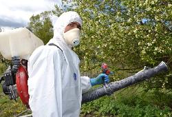 В Югорске  от клещей обработано 82,98 га.