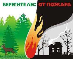 Берегите лес!