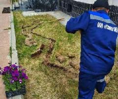 С Днём работников бытового обслуживания населения и ЖКХ!