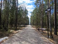 Успейте внести предложение на конкурс проектов создания комфортной городской среды до 24 ноября