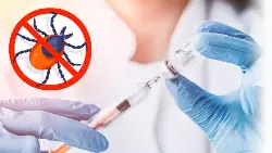 Защитите себя - поставьте прививку от клещевого энцефалита