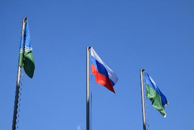 С Днём государственного флага России!