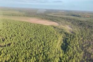 Михаил Бодак проинспектировал городские леса на наличие медведей