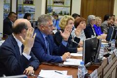 Депутаты утвердили изменения в Правила благоустройства территории города