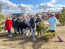 Чистота – лучшая красота