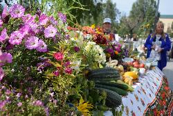 Ярмарка садоводов, страйкбол и кибер-спортивный турнир - стартовали мероприятия ко Дню города