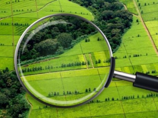 Информация о проведении государственной кадастровой оценки в 2026 году