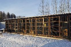 В приюте новые вольеры и будки для собак