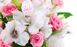 C Днем муниципального служащего города Югорска!