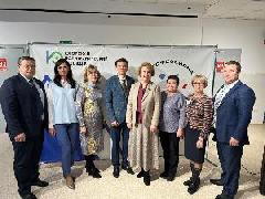 Партийный контроль 