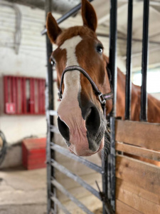 photo_2025-04-08_18-51-16.jpg photo_2025-04-08_18-51-16.jpg