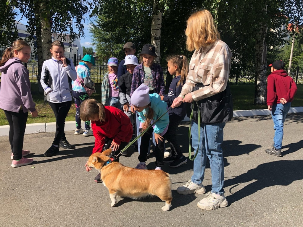 ZgEbBxBvg2Q.jpg ZgEbBxBvg2Q.jpg