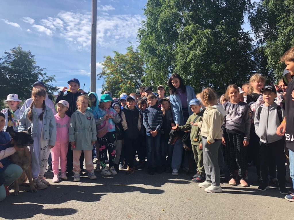 LeK_HQpiLgM.jpg LeK_HQpiLgM.jpg