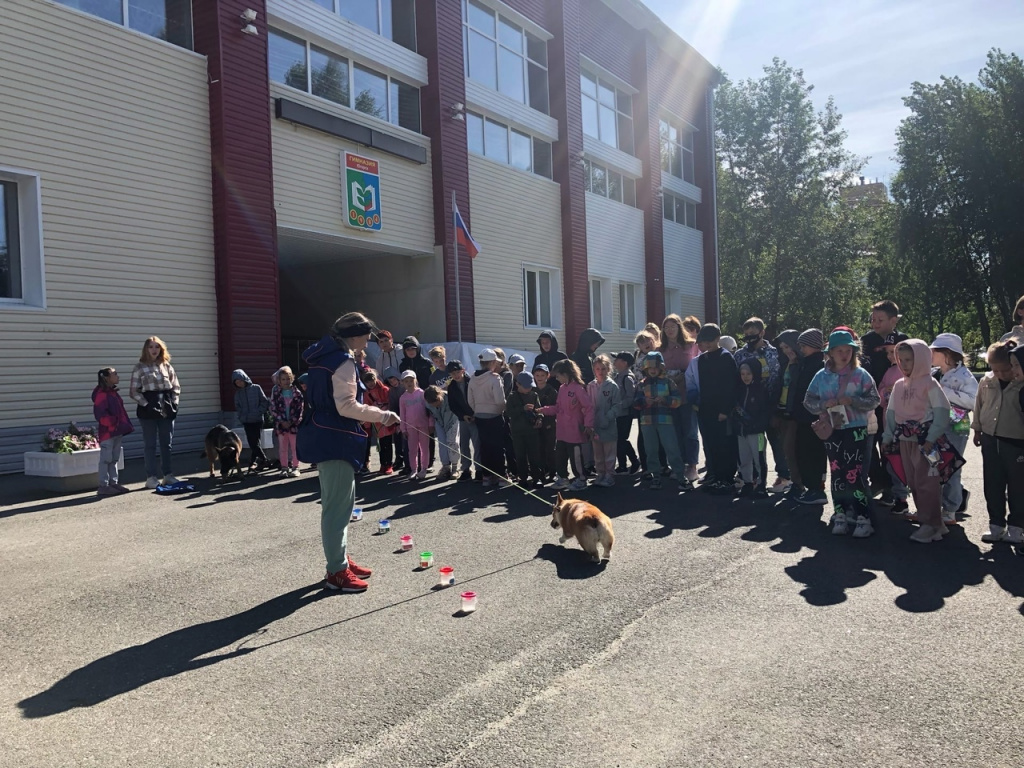 Oe9nVAdHlP0.jpg Oe9nVAdHlP0.jpg