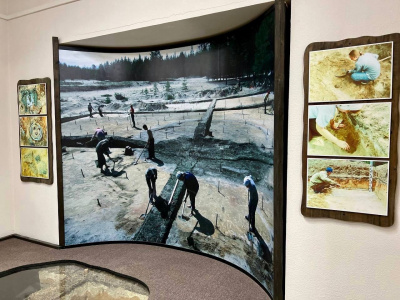 bvbXNVfA2bE.jpg bvbXNVfA2bE.jpg