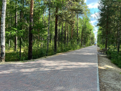 tgBsV8jpkWQ.jpg tgBsV8jpkWQ.jpg