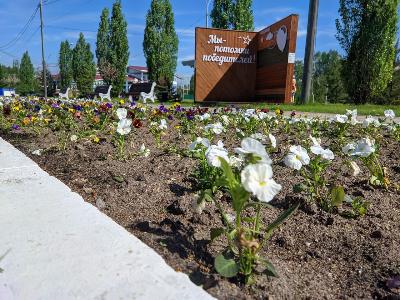 В Югорске высадили первые цветы 