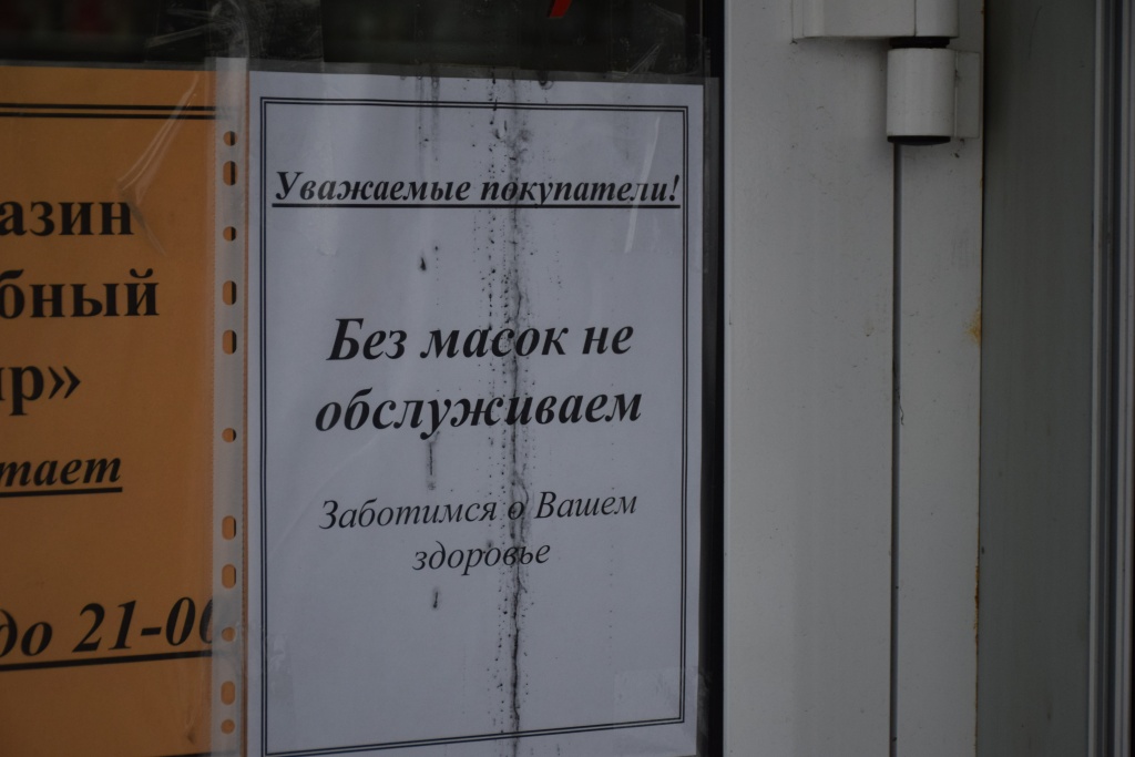 DSC_0500.JPG