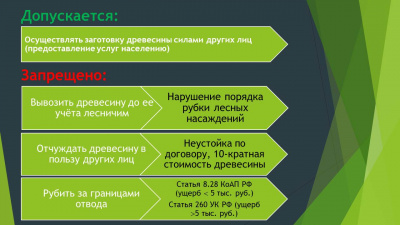 Слайд5.JPG