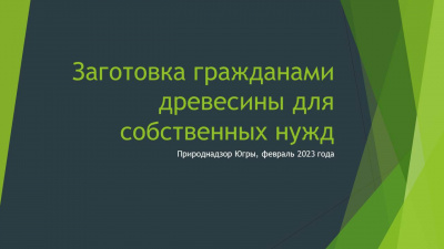 Слайд1.JPG